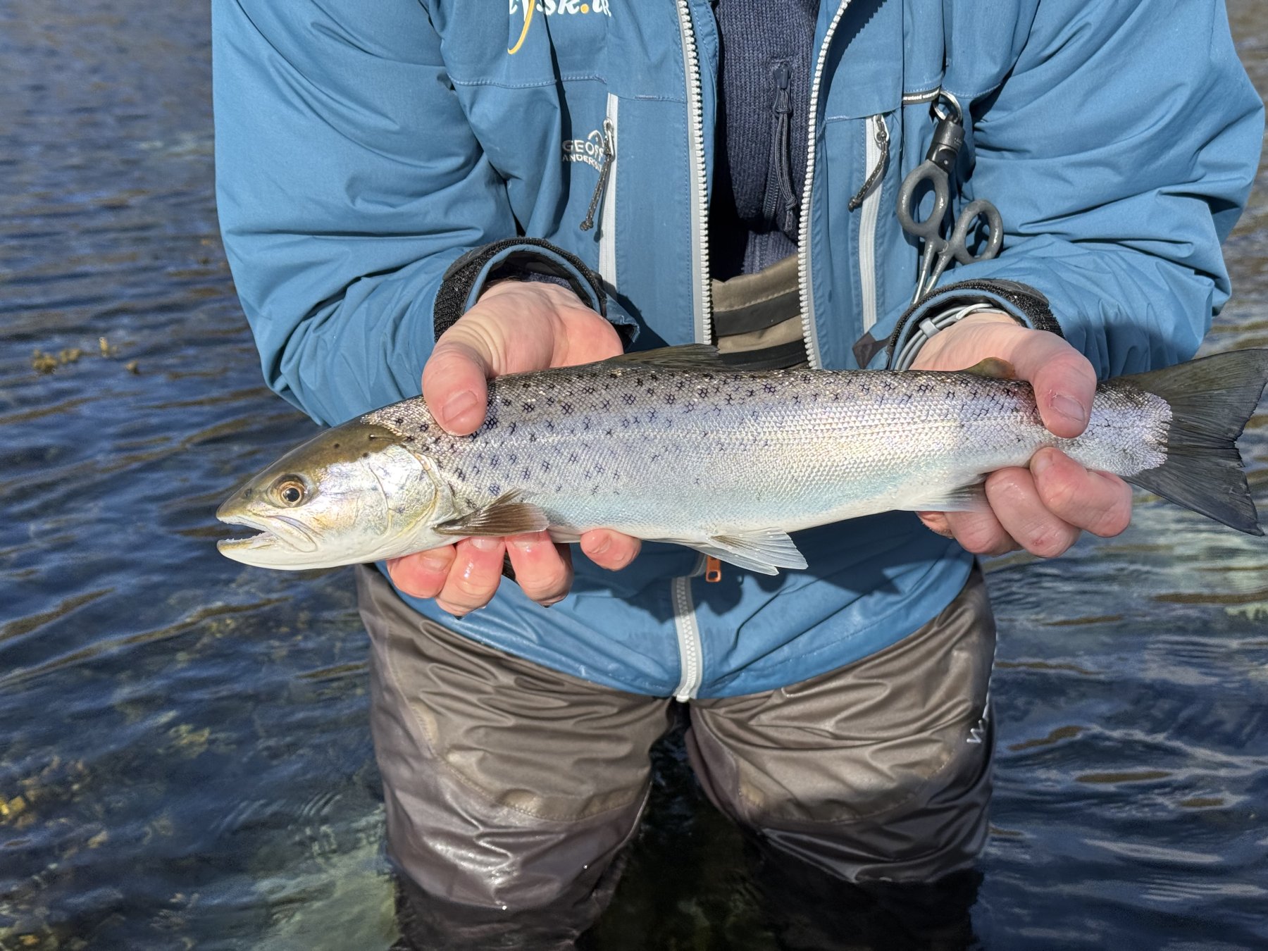 Fangst